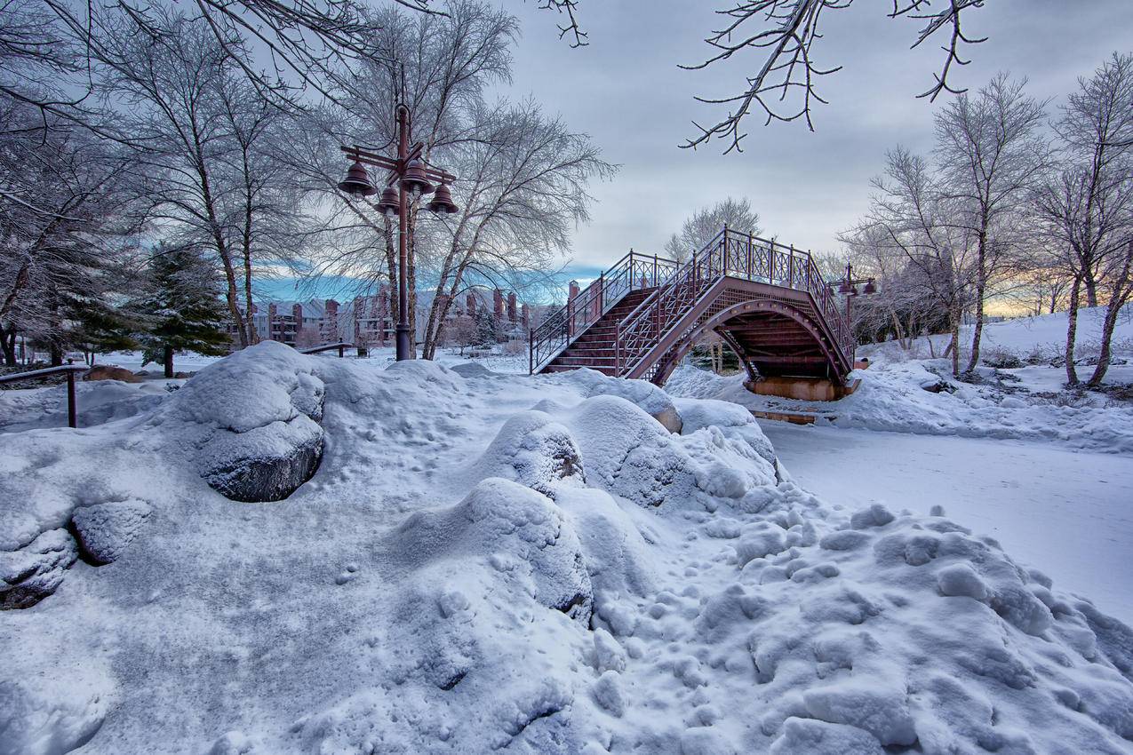 与White,Snow的桥梁图片