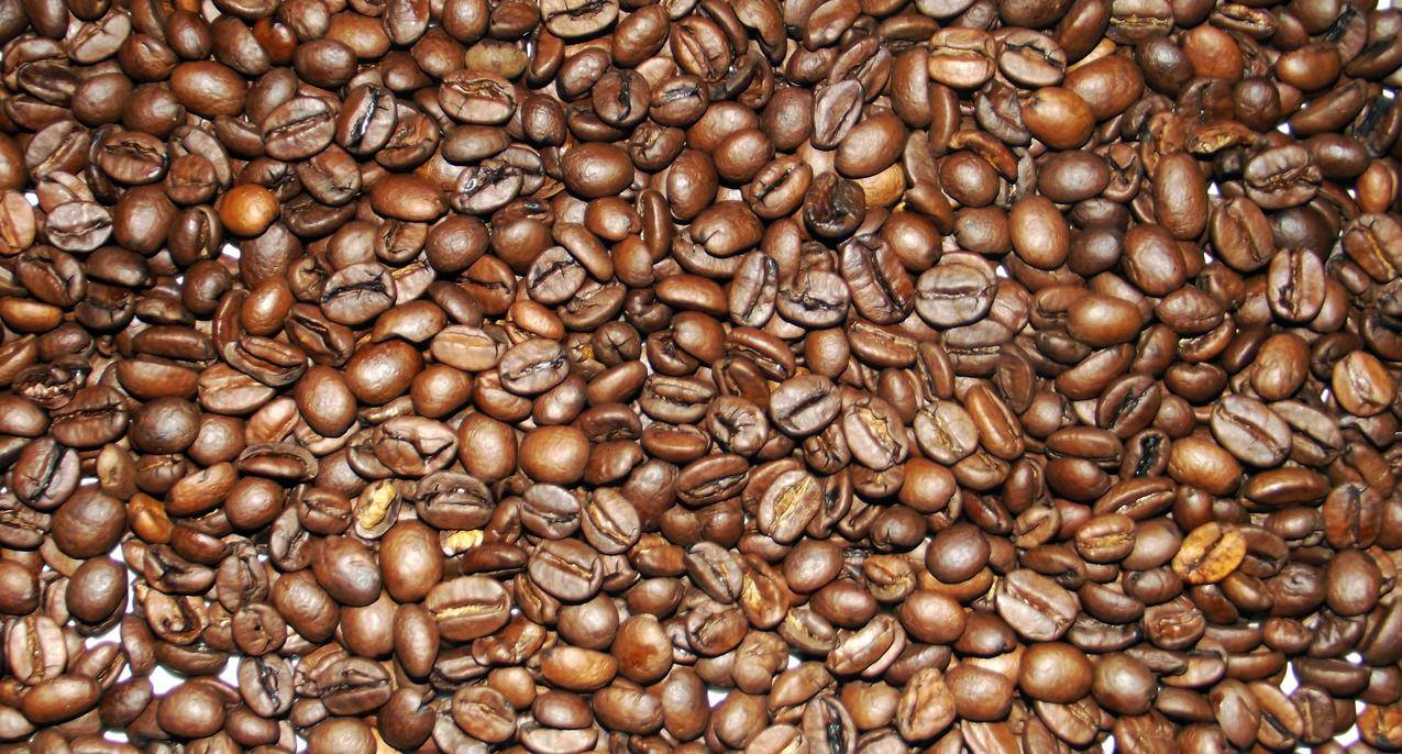 咖啡豆种子高清图片