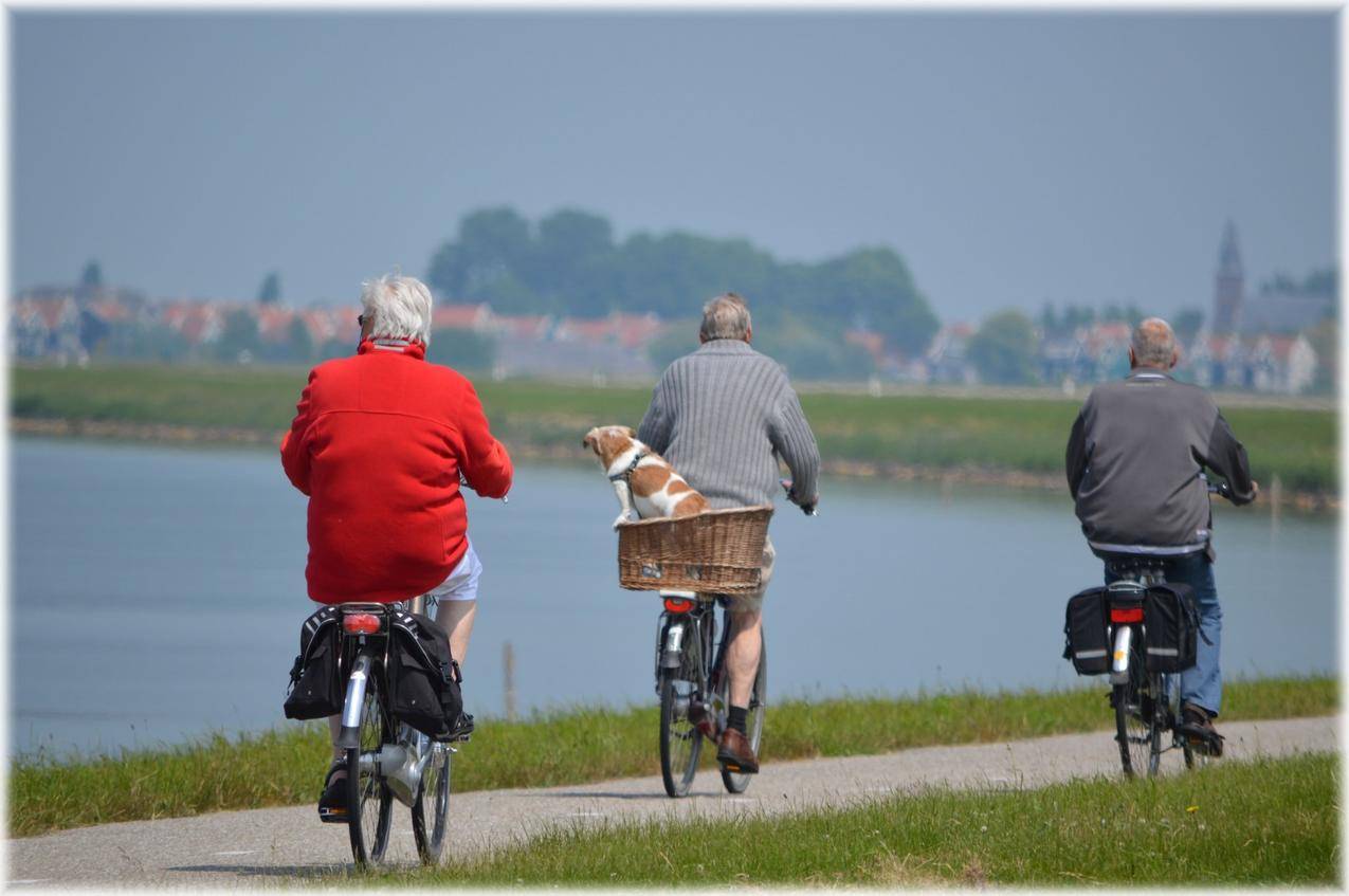 幸福的老年夫妇骑自行车设计元素图片_ID:411749910-Veer图库