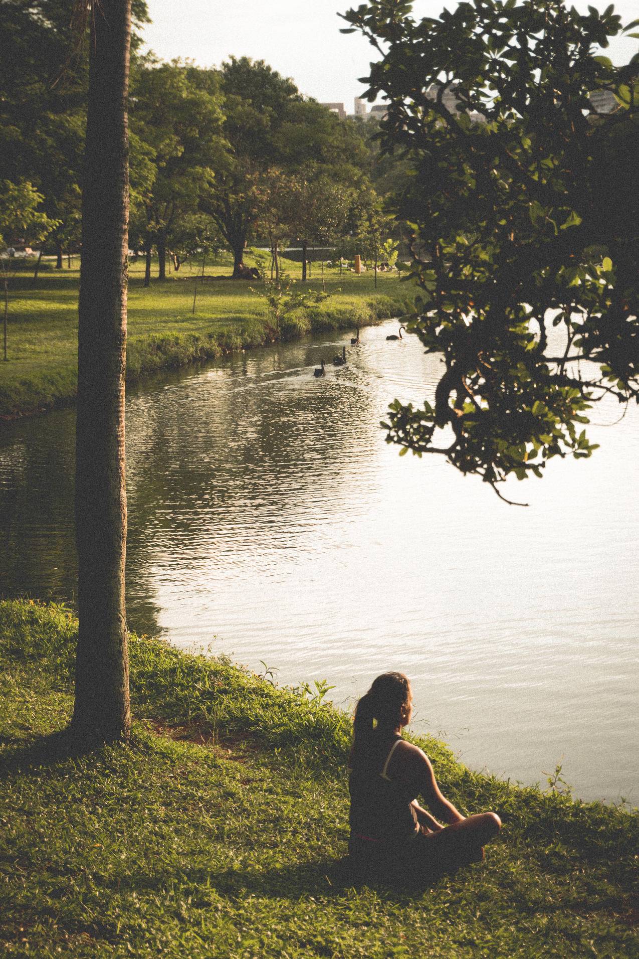 坐在湖心岛草地上的女人