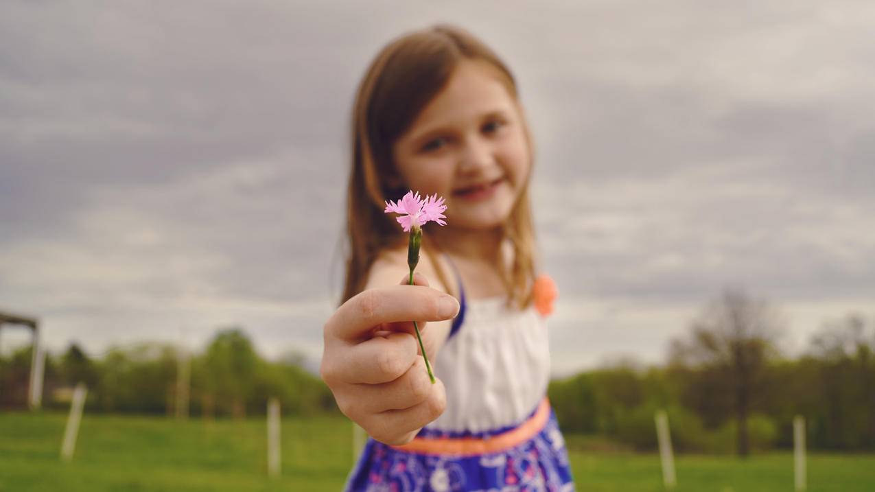 抱粉红色花朵的女孩选择性焦点摄影