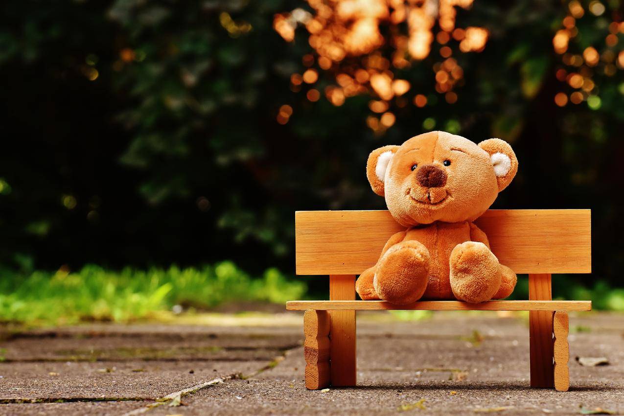棕色的泰迪熊在棕色的长凳上