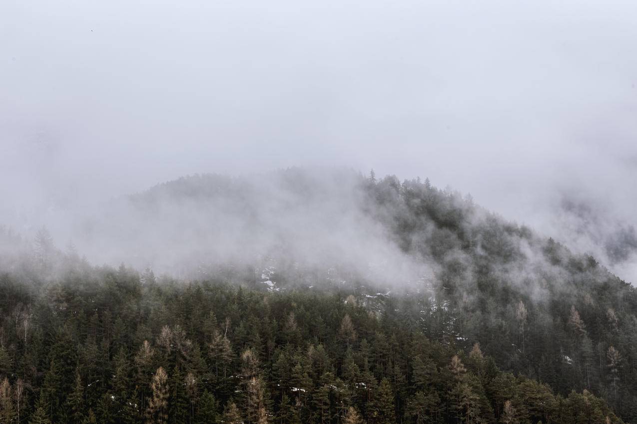 雾山青山观
