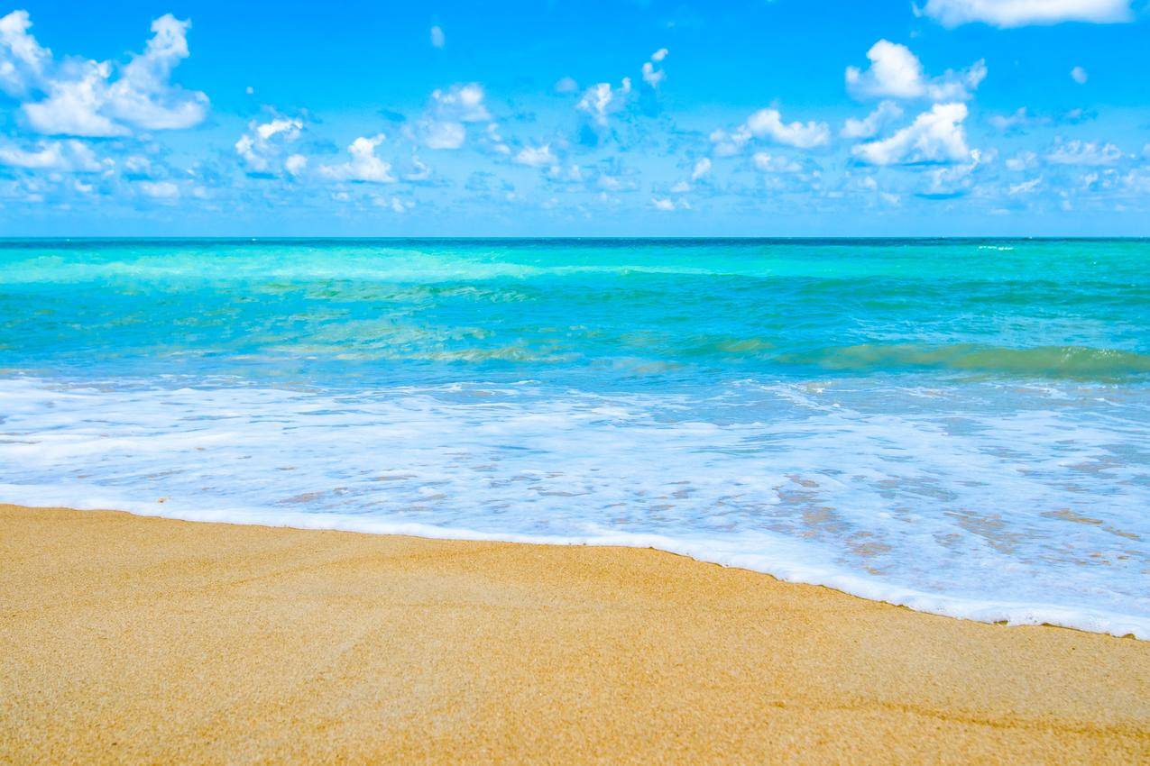 Download Sunny Nature Landscape Sea Ocean 4k Ultra HD Wallpaper