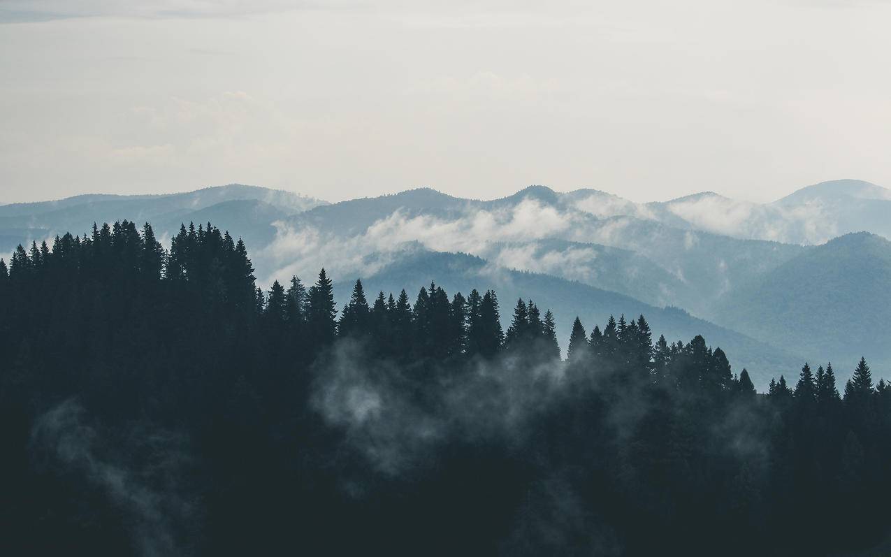 山,云,林,雾cc0可商用图片