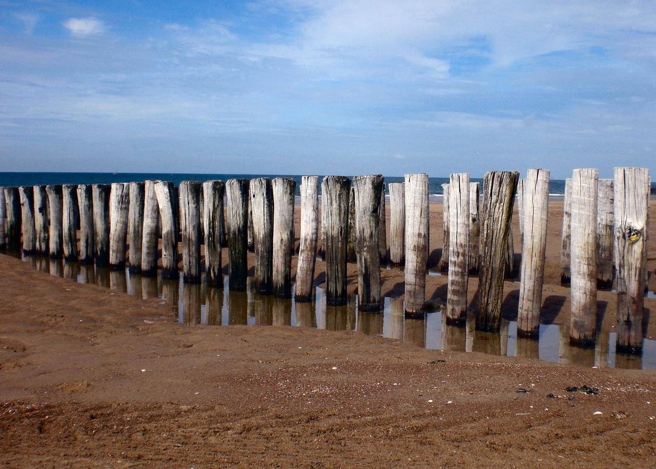 海边海滩的木桩高清图片