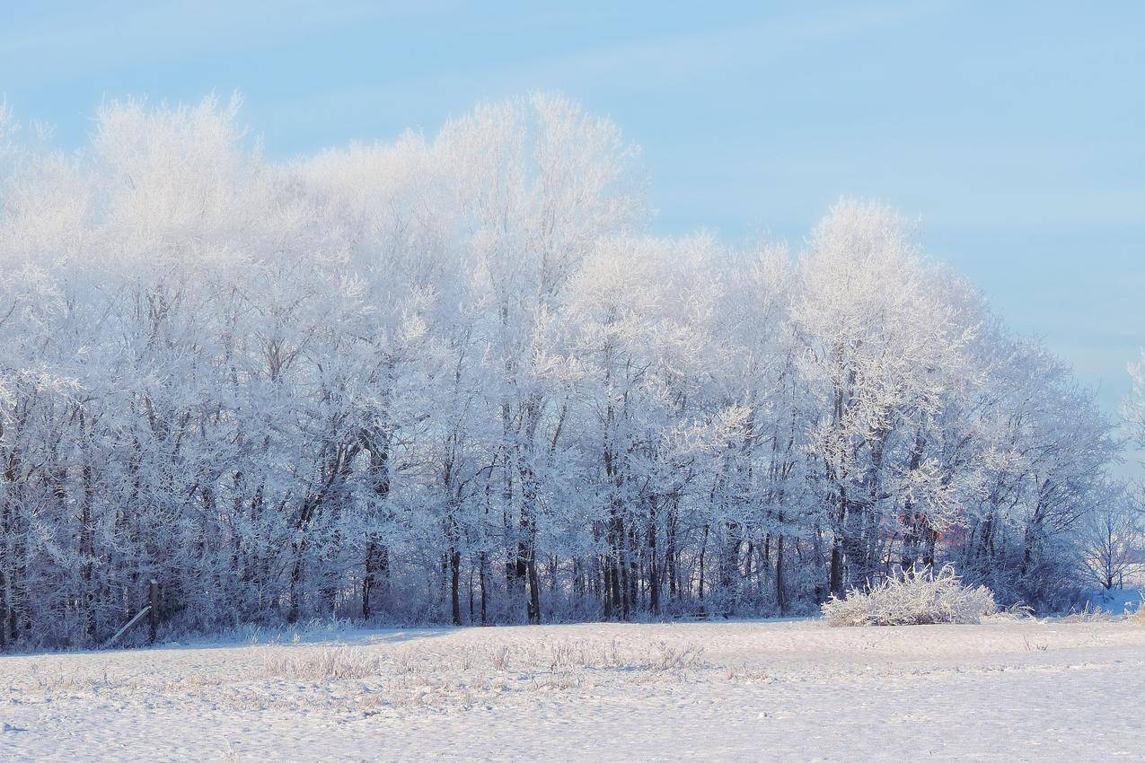 cc0可商用高清的冷,雪,自然,天气图片