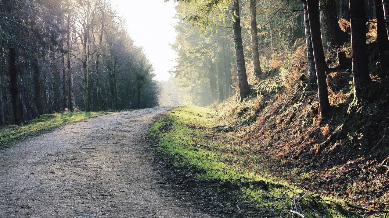 cc0免费可商用道路照片,黎明,风景,自然