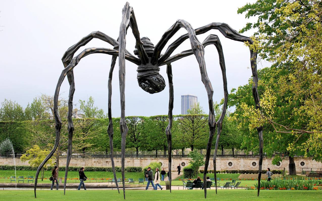 棕木蜘蛛雕像摄影