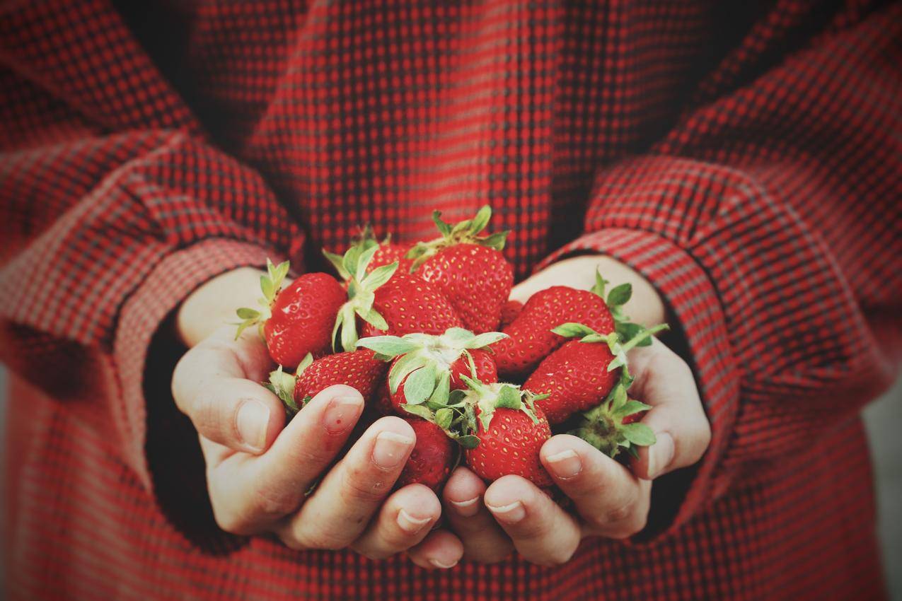 双手捧着草莓的高清图片