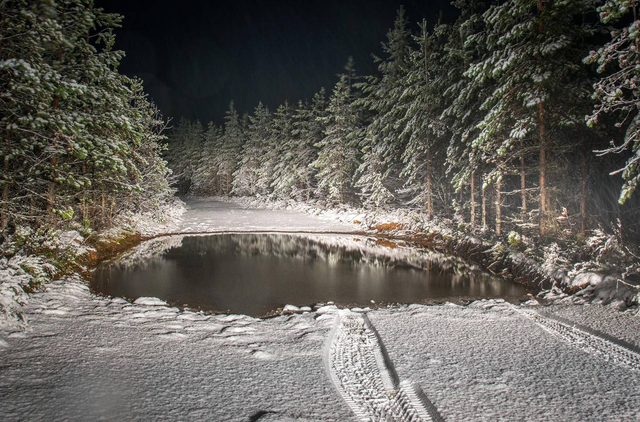 被雪覆盖的道路被松树风景摄影所包围