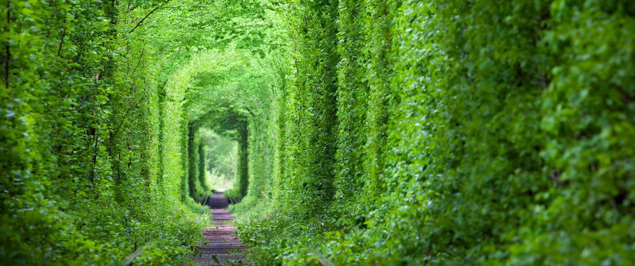 梦幻般的爱情隧道,绿树和铁路3440x1440风景壁纸