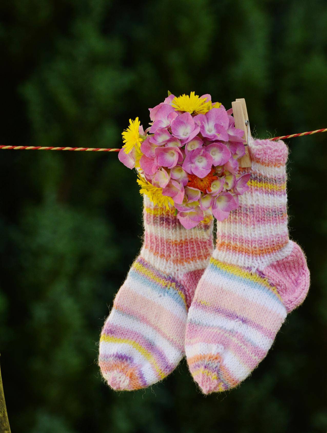 粉红白袜子挂粉红色花
