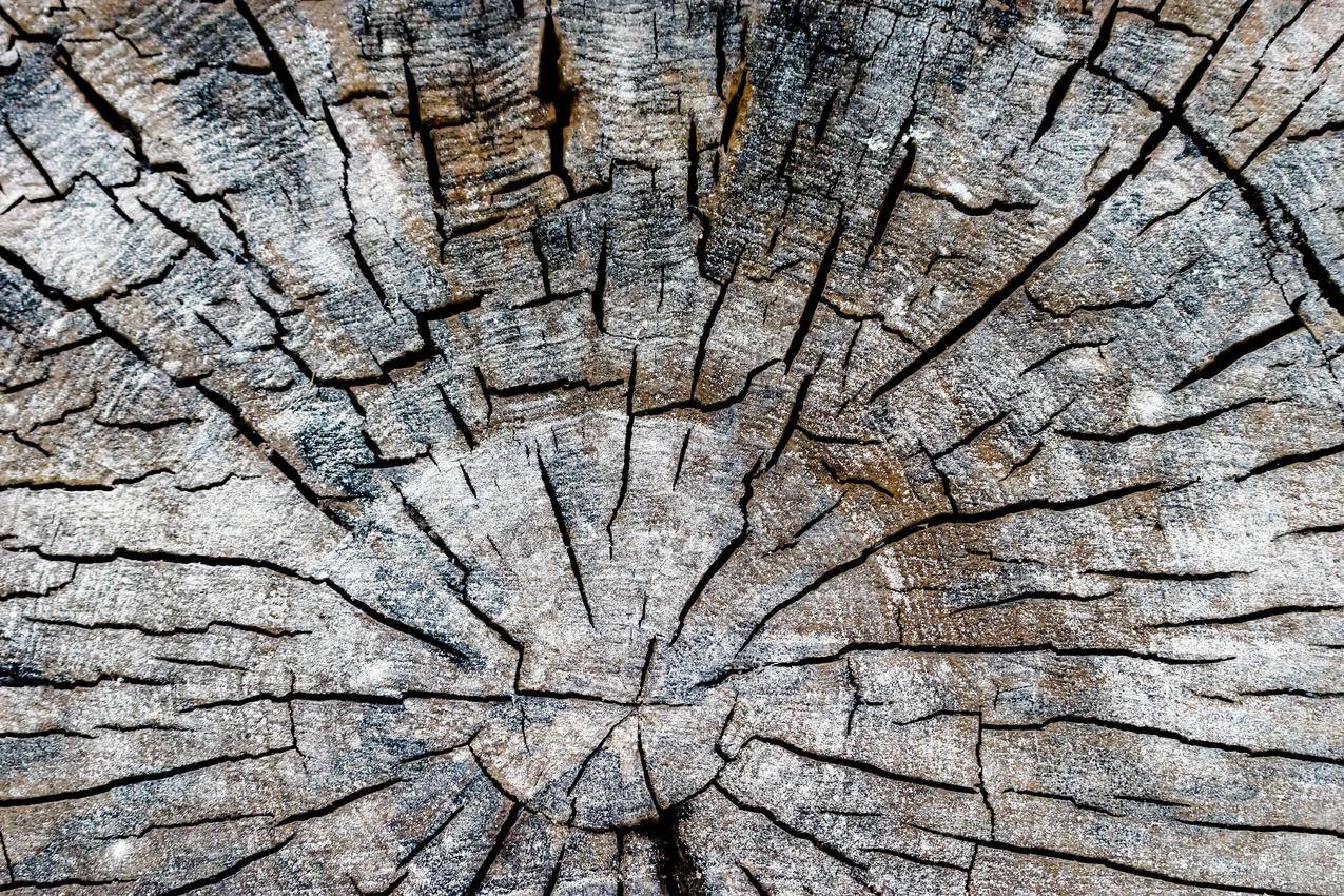木材cc0可商用高清图片,干燥,纹理,树干