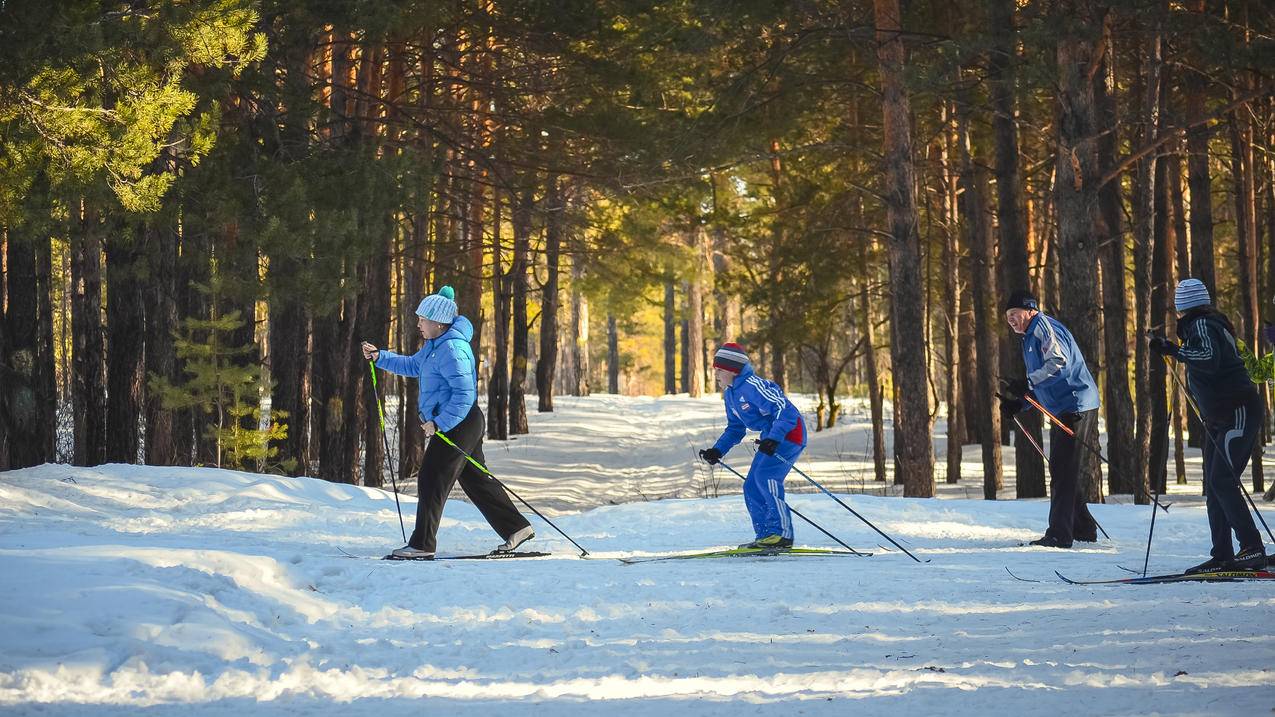 4个人在森林里滑雪