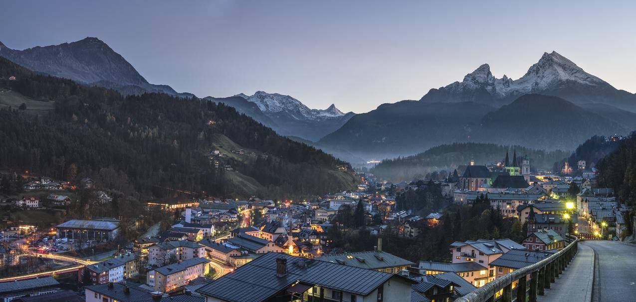 树木与Mountains附近城市建筑鸟瞰摄影