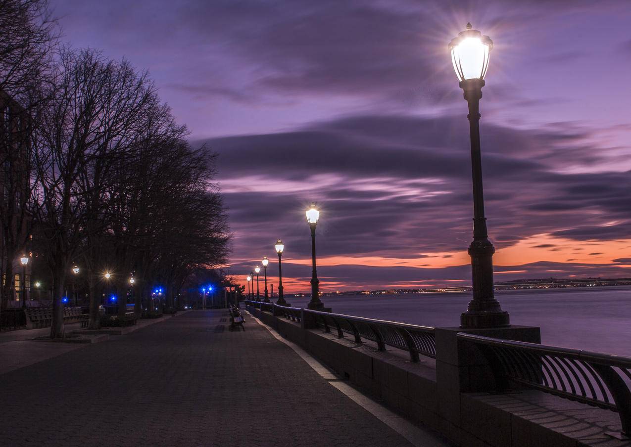 夜间海湾旁街灯的摄影