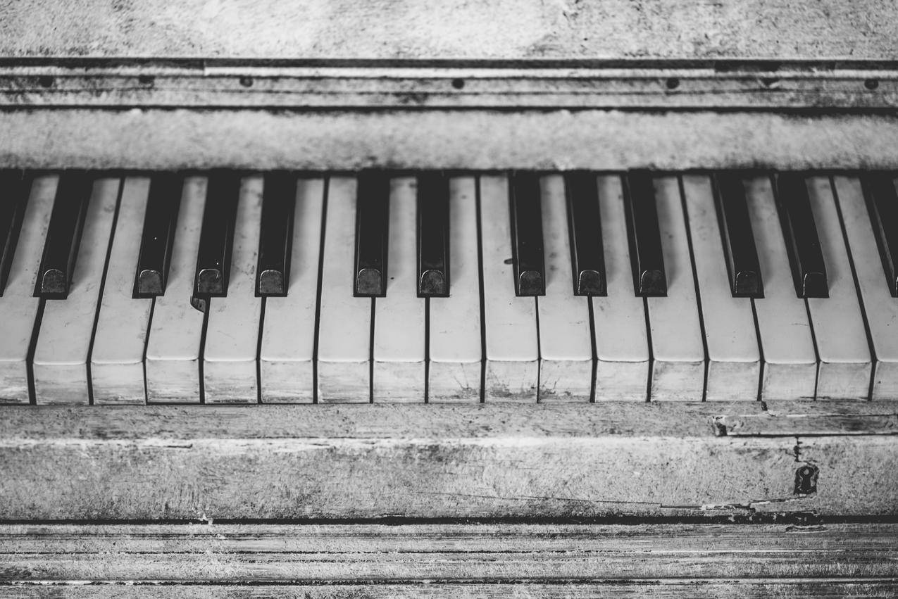 灰度钢琴键