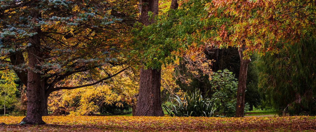 新西兰秋天风景3440x1440壁纸