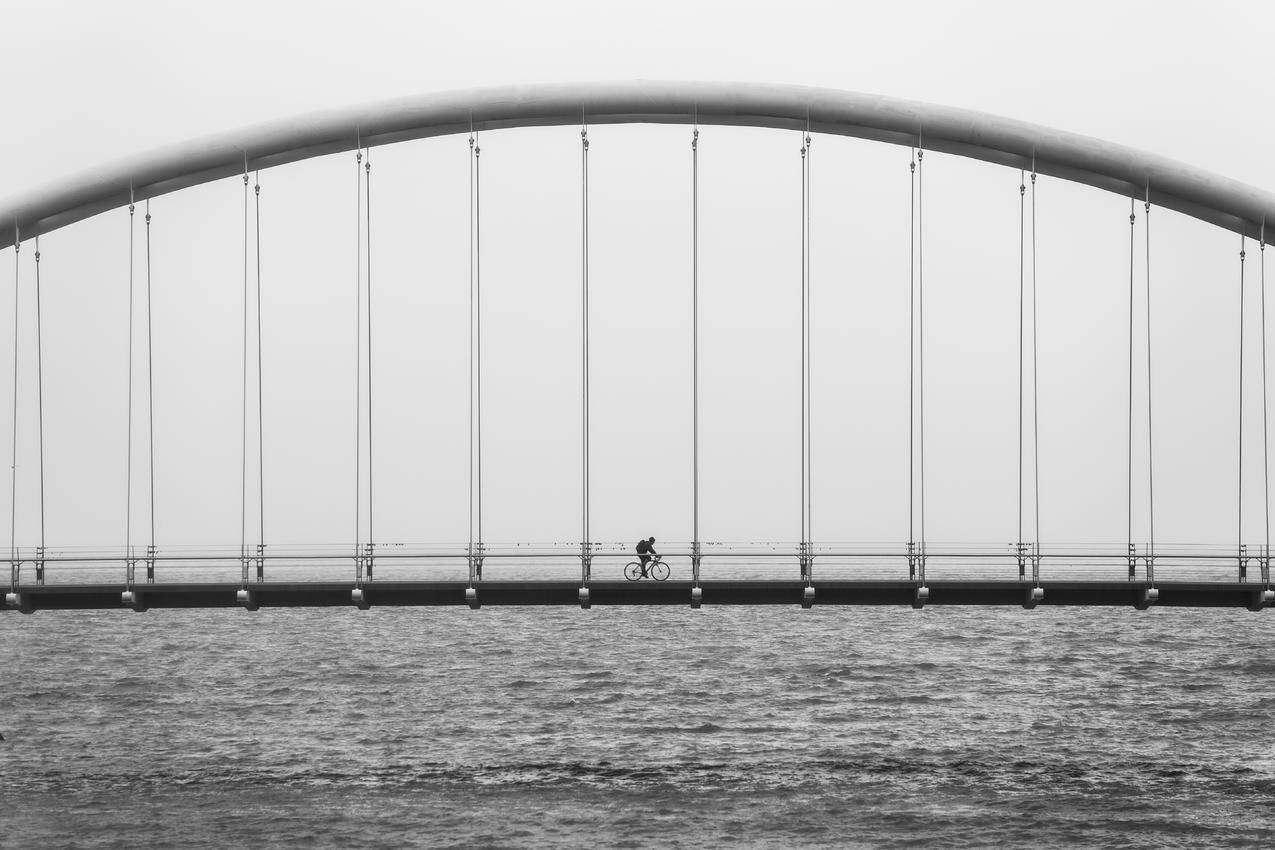 海,黑白,桥,悬索桥免费照片