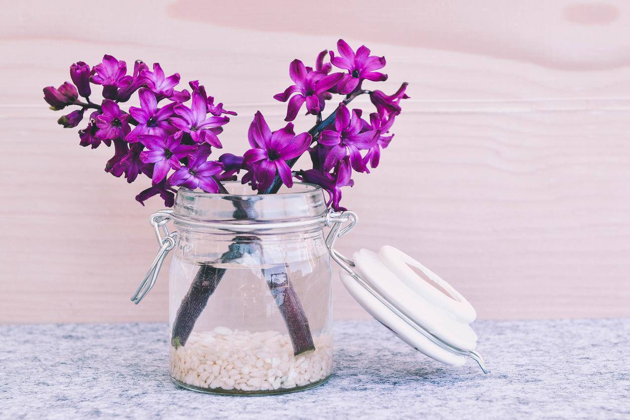 瓶上的紫色花瓣花