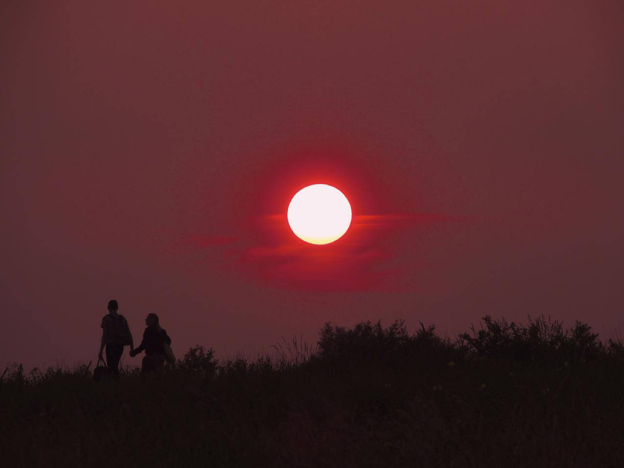 夕阳下2人携手漫步