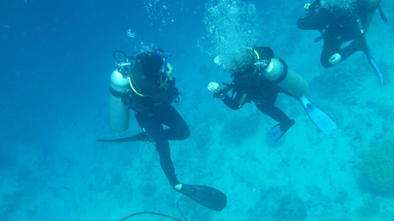 水下的潜水人员高清图片