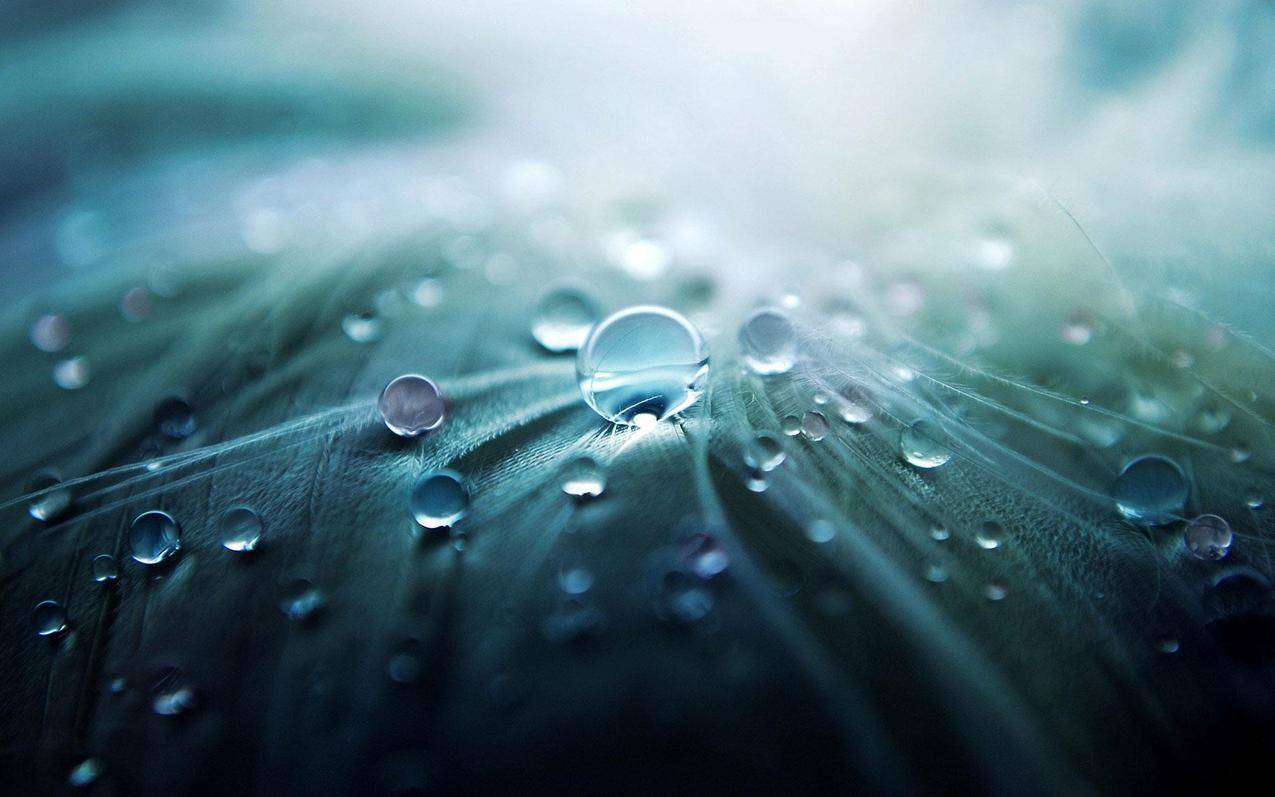 光,艺术,水,抽象的免费照片