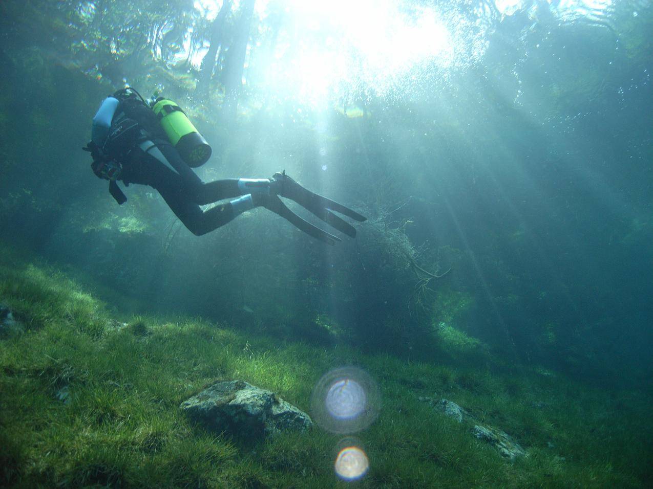 阳光照射的水下潜水员图片