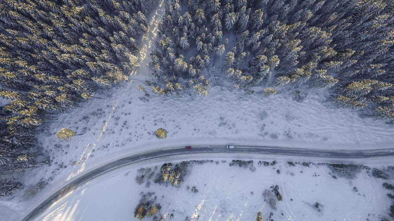 cc0可商用高清的雪,雪,鸟和39的股票图片