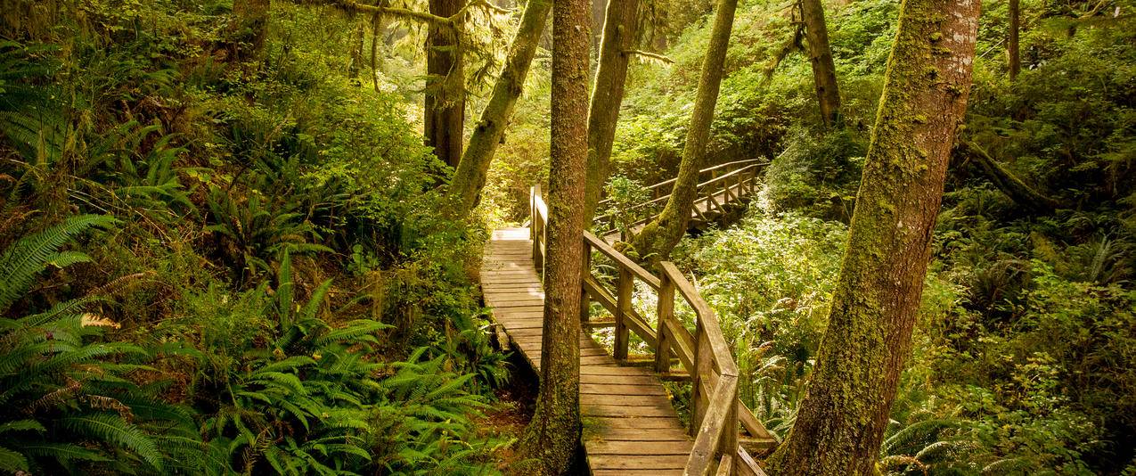 温哥华岛太平洋沿岸国家公园保护区风景3440x1440壁纸