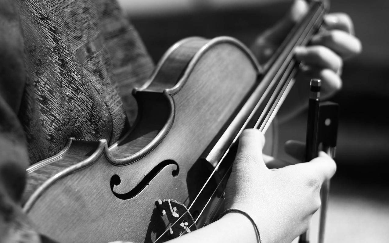小提琴演奏者的灰度摄影