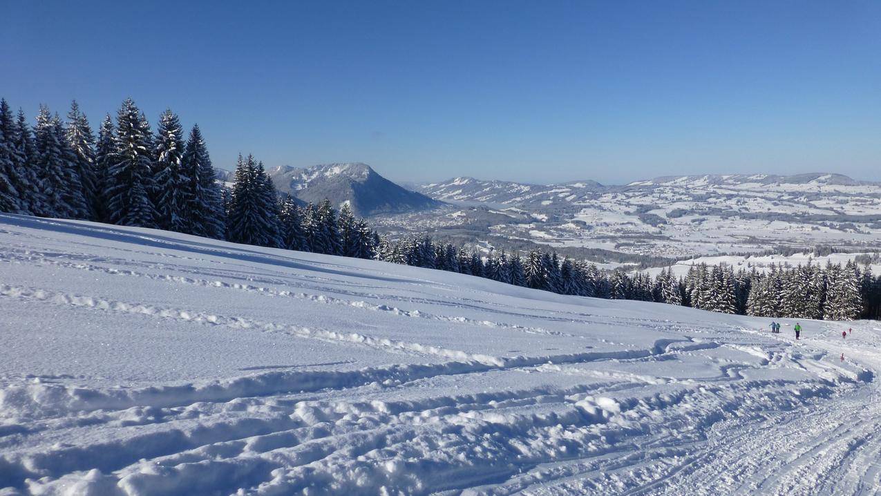 冬天的滑雪场,雪地,针叶林