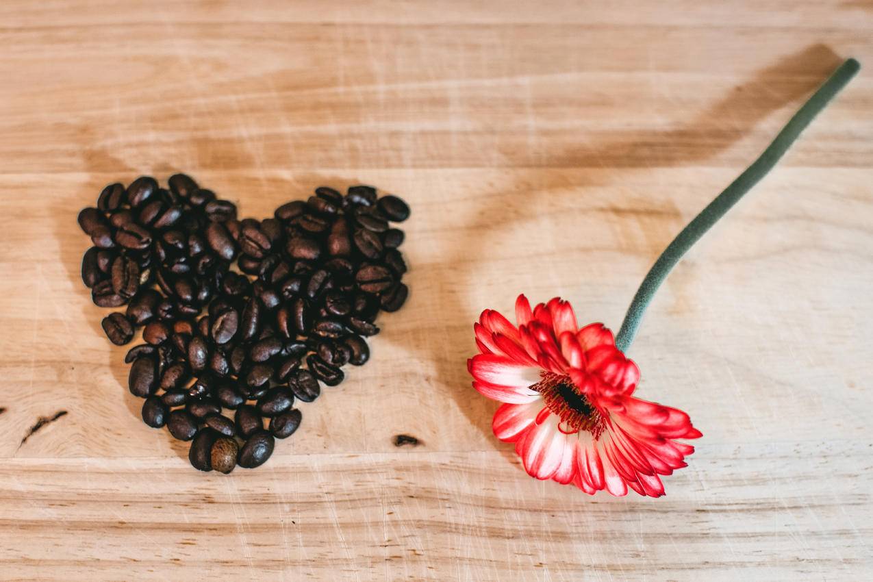 咖啡豆附近的红色花瓣图片