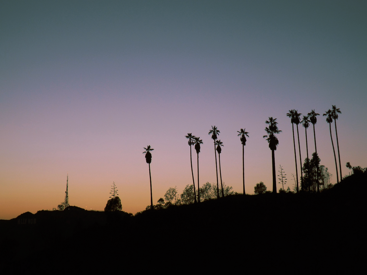 cc0可商用的日落图片,洛杉矶,树木,日出