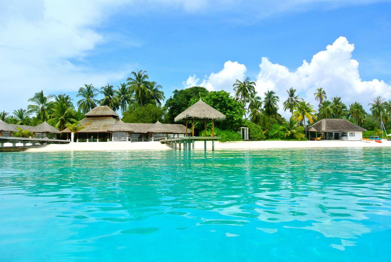马尔代夫的海岛度假村小茅屋与椰子树风景图片