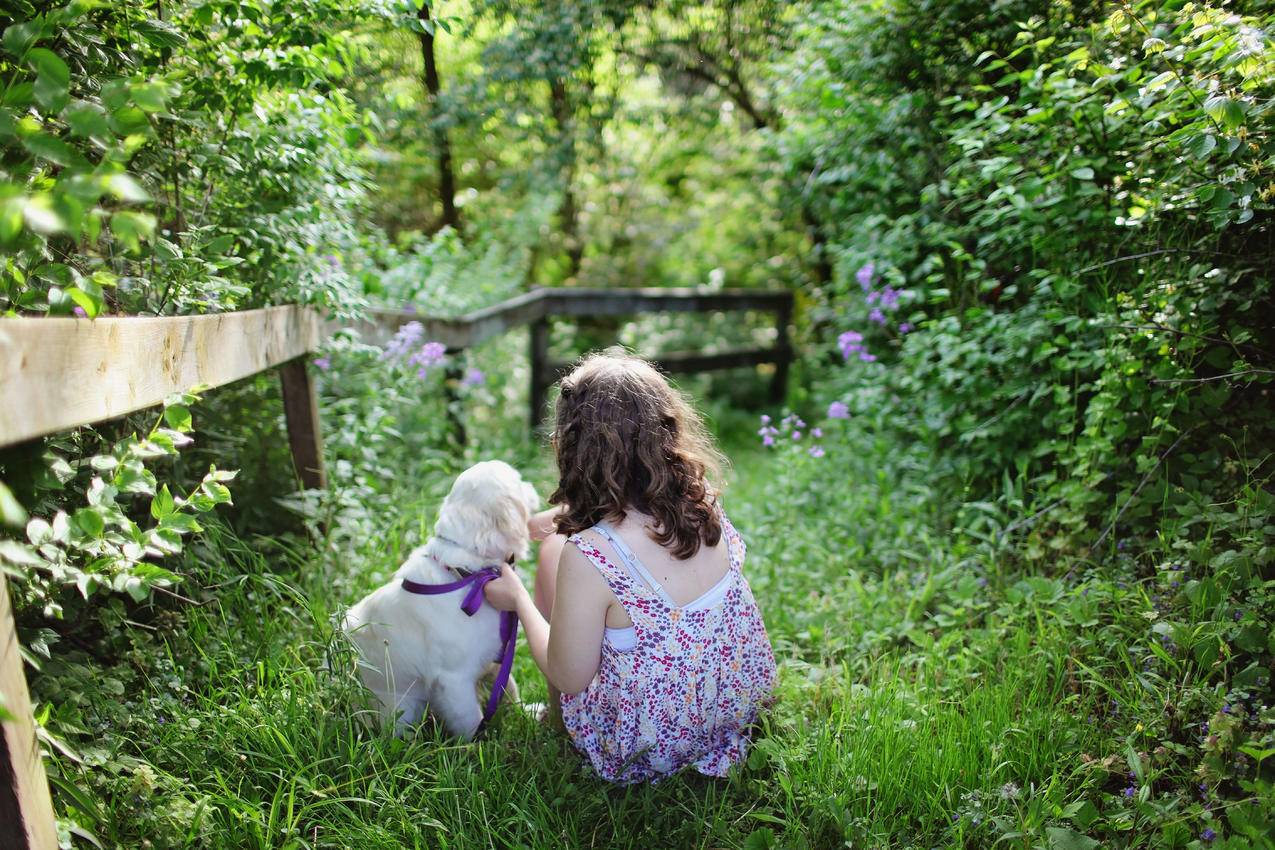 白天坐在绿草丛中的小女孩和小狗