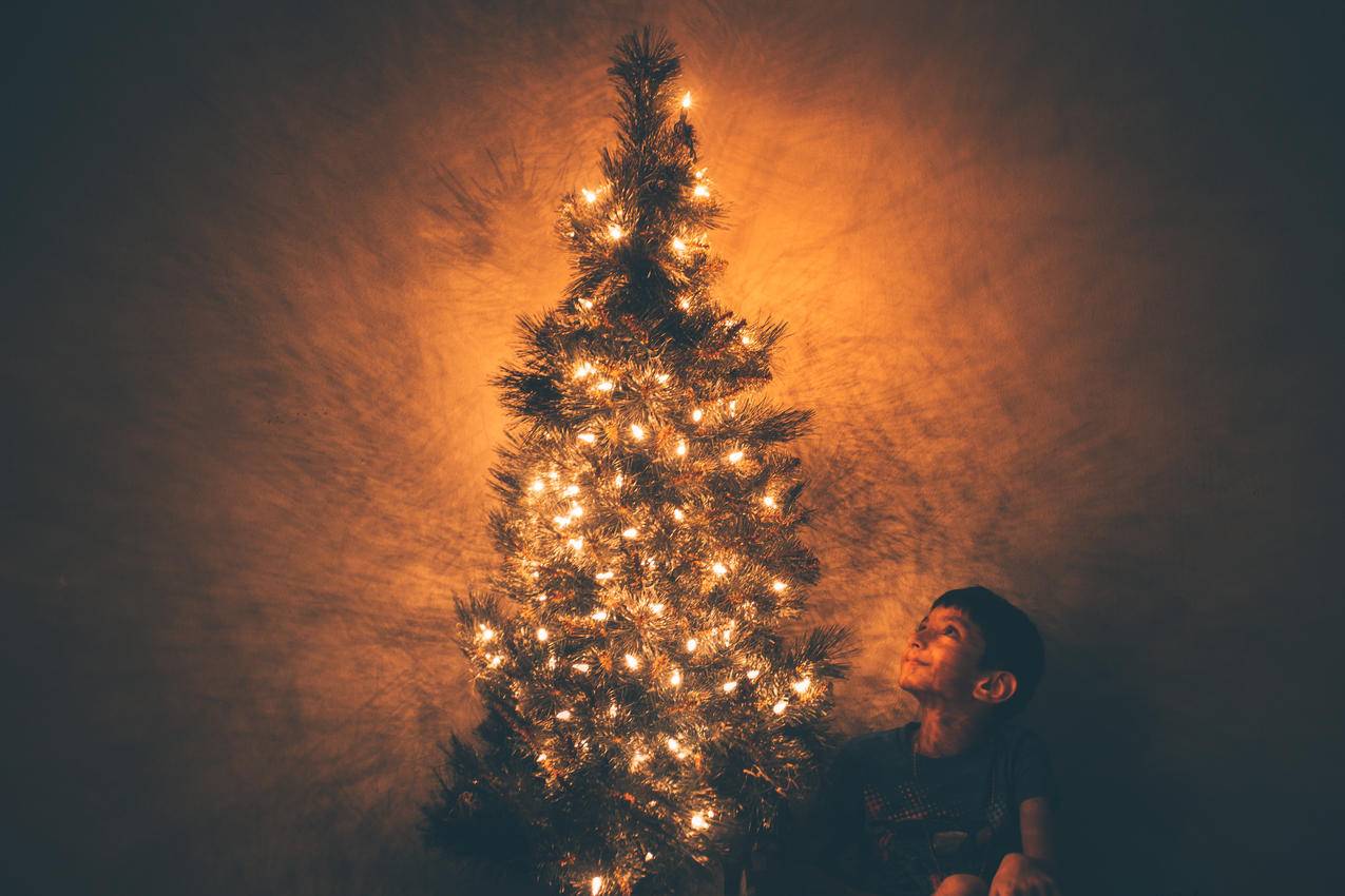 圣诞树旁的男孩插图