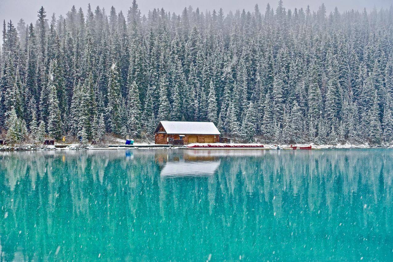 cc0免费可商用的冷,雪,景,自然高清图片