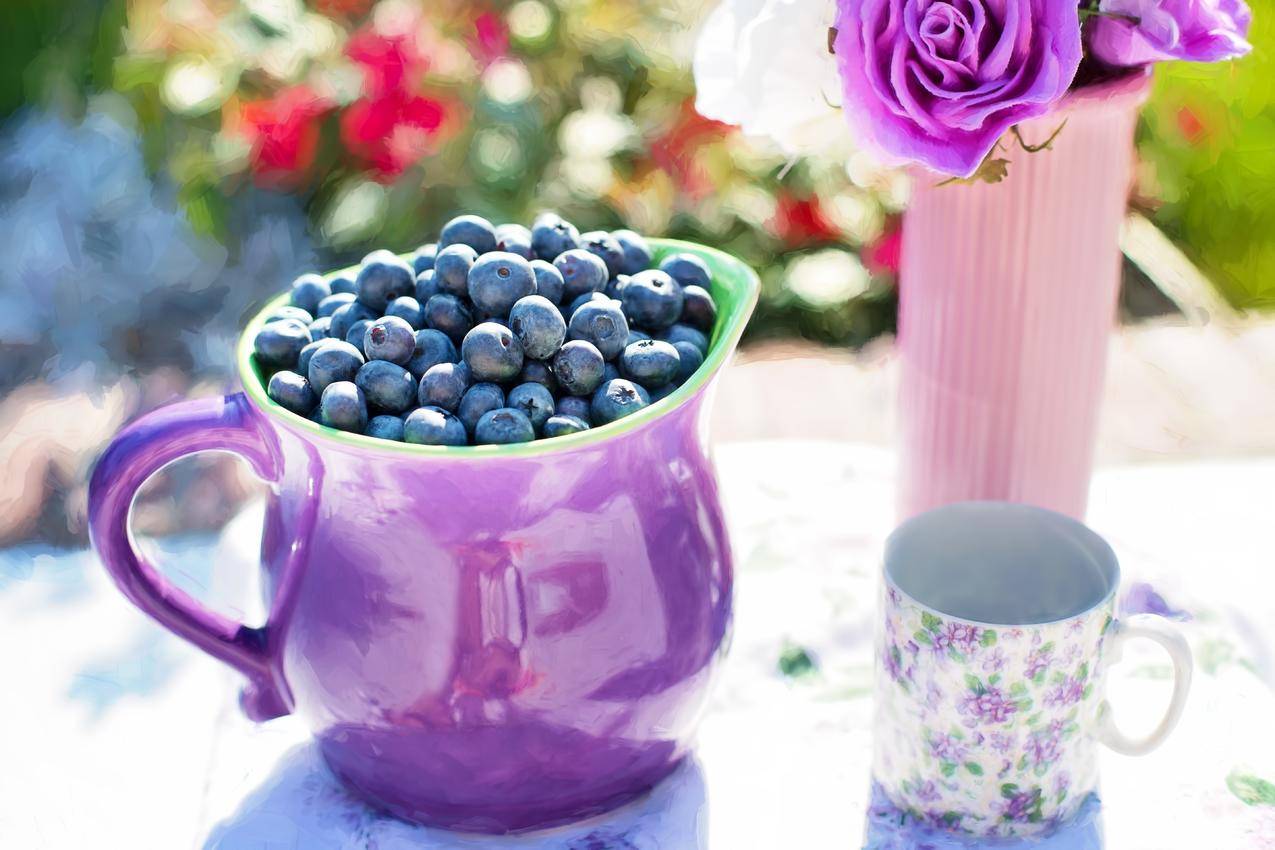 紫色容器上的黑色浆果,白色和紫色花杯