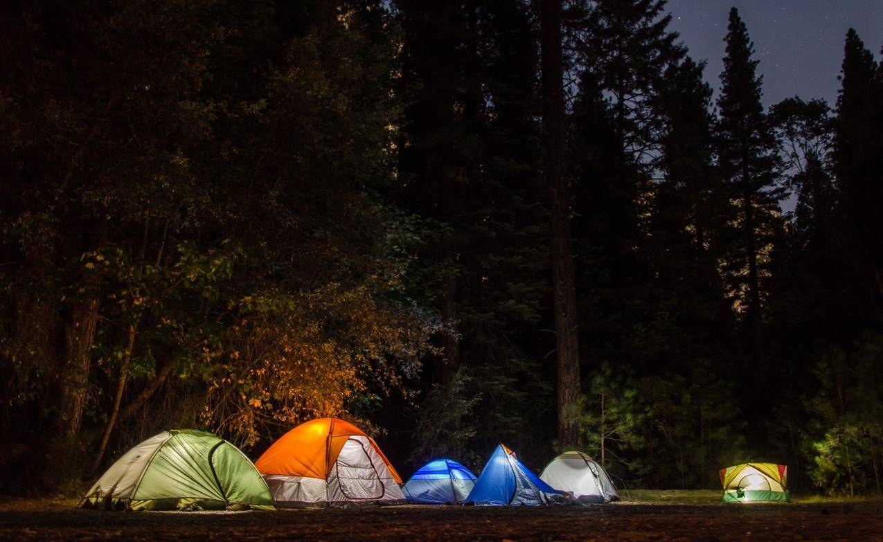 Forest六个宿营帐篷