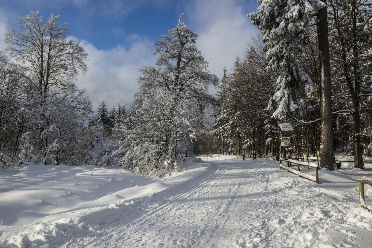 cc0可商用高清的冷,雪,路,景图片