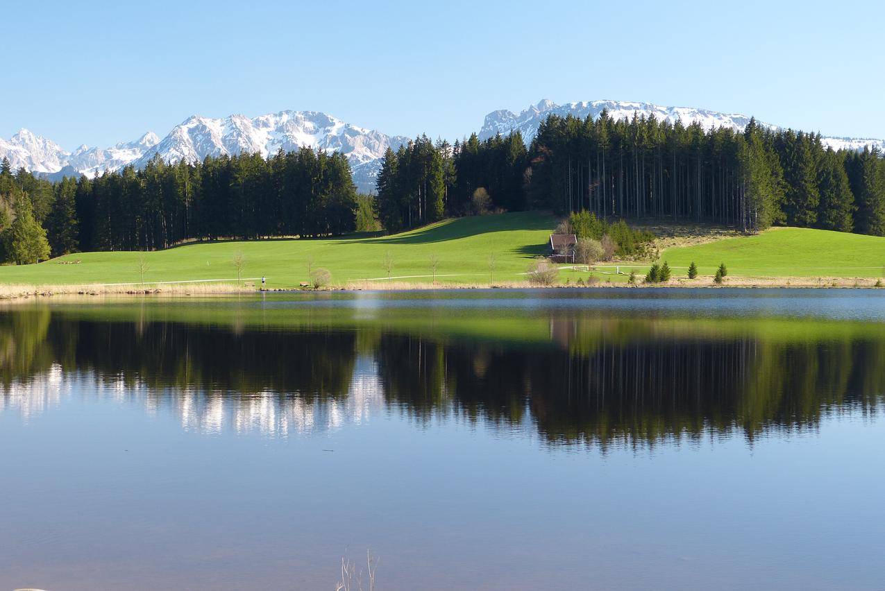 瑞士阿尔高的湖泊树林风景图片
