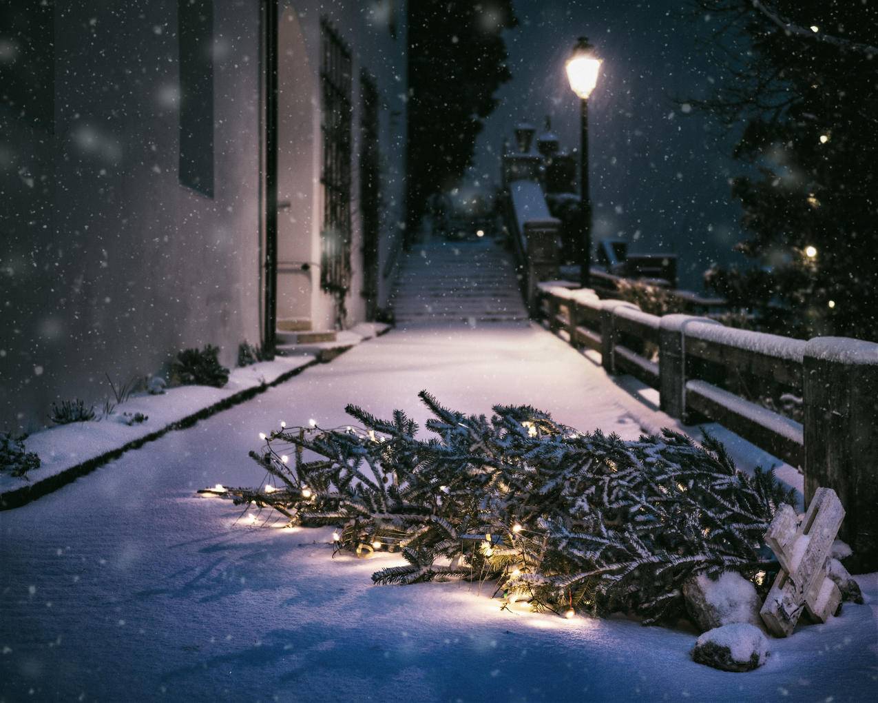 cc0可商用高清的雪,雪,光,夜图片