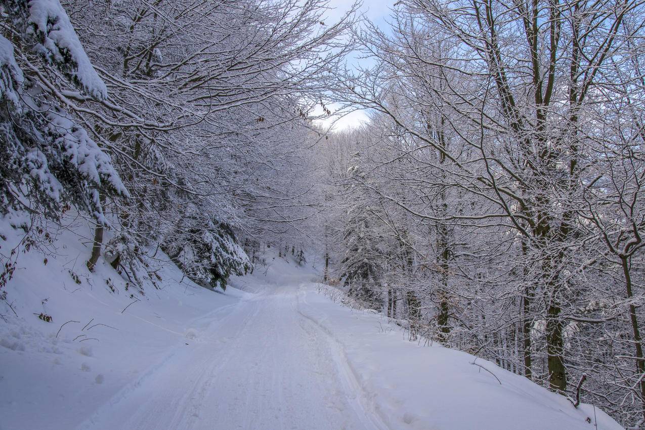 cc0可商用高清的冷,雪,路,景图片