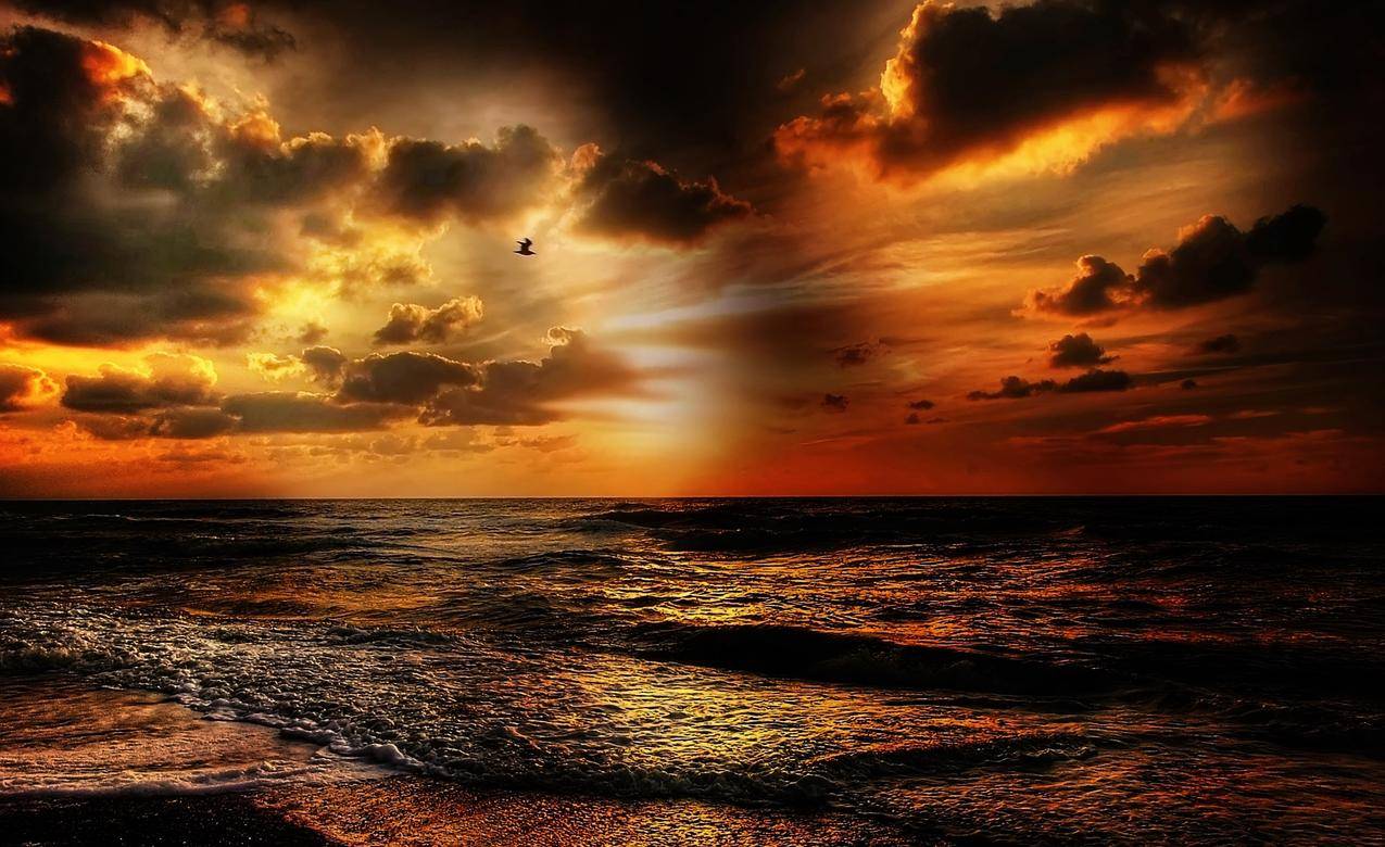 阳光,大海,黎明,风景的cc0可商用高清图片-千叶网