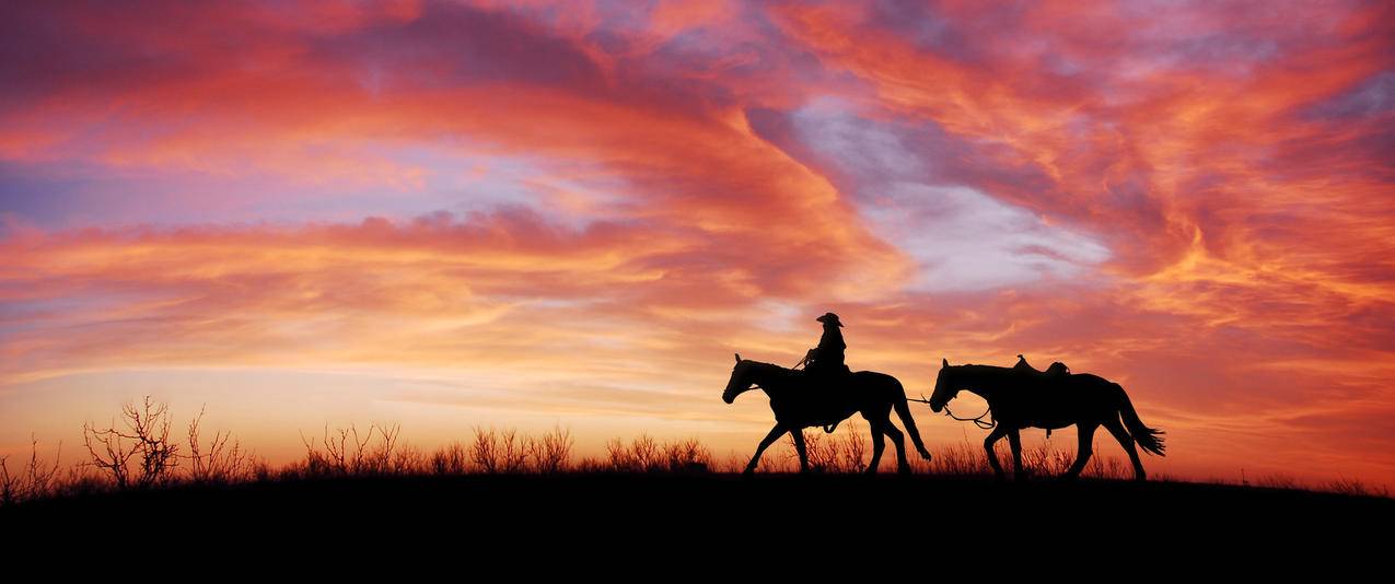 骑马的女孩,黄昏,夕阳3440x1440风景壁纸