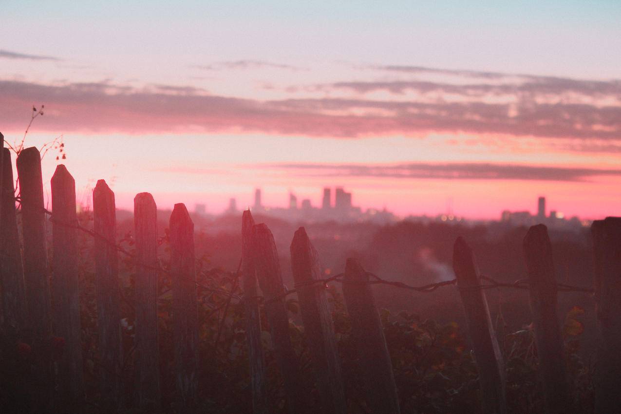 日落时白色木篱的摄影