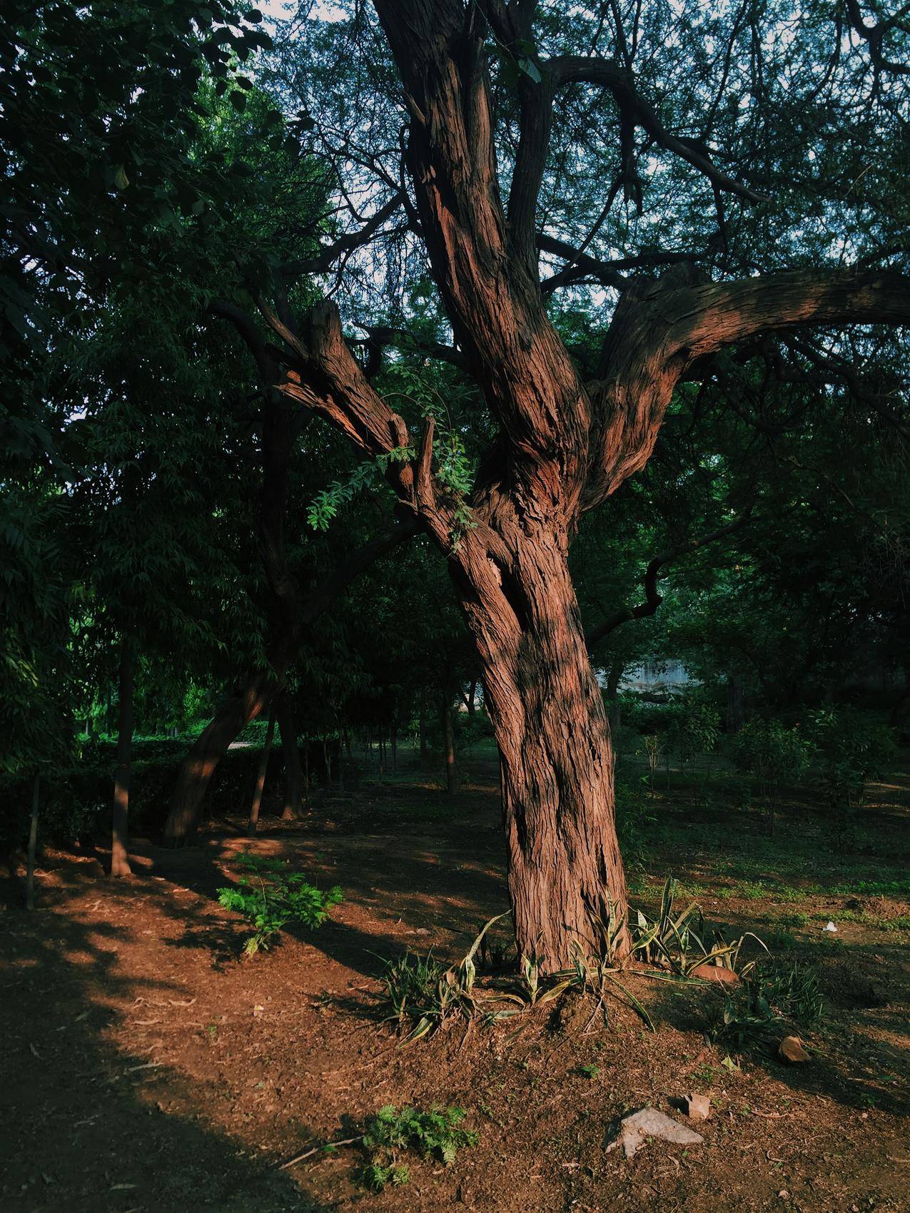 风景,自然,大地,黑暗的免费股票高清图片