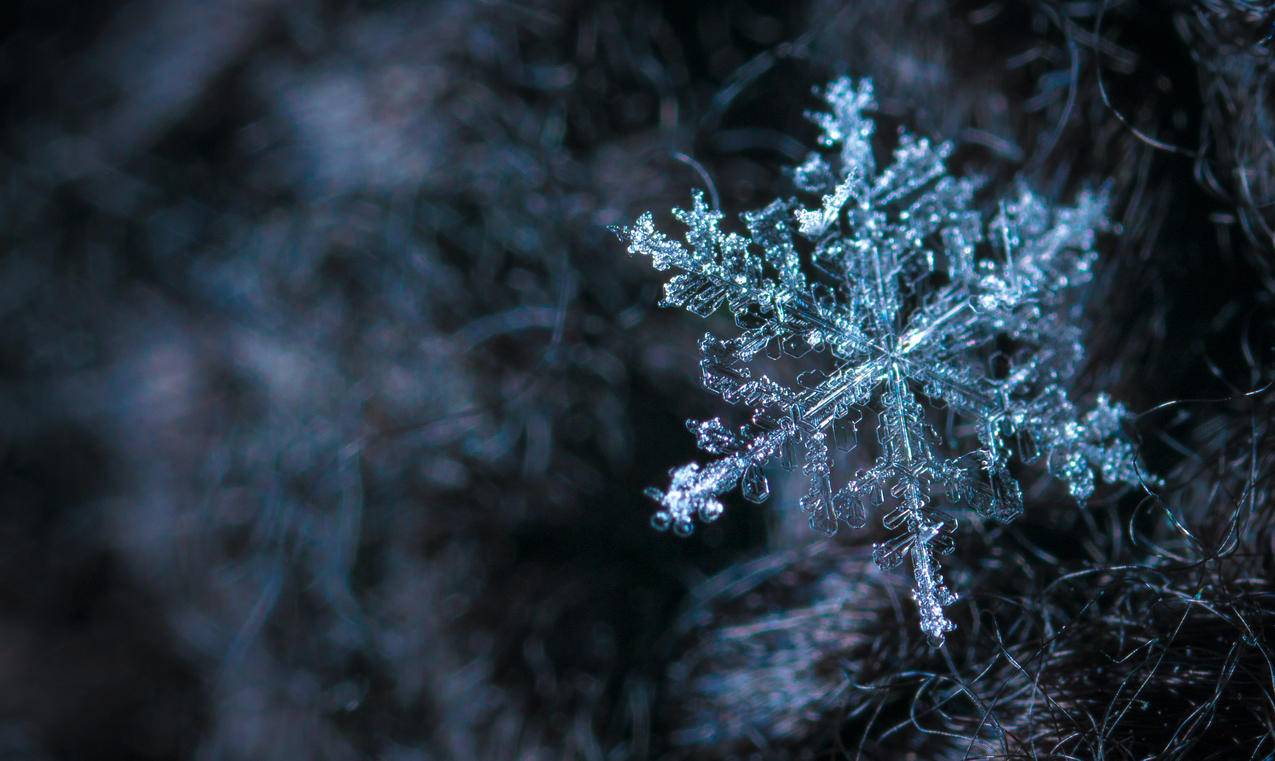 雪花特写摄影